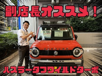 ハスラータフワイルド！６月１６日限り試乗車あります！